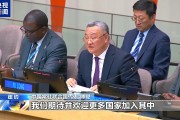 联合国人工智能之友小组正式成立 中方代表：期待并欢迎更多国家加入