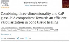 新型3D打印支架PLA-CaP可促进血管形成，为骨愈合带来新希望