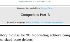 用于3D生物打印的骨免疫调节生物墨水实现临界尺寸骨缺损再生