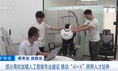 我国推动“AI+X”跨界人才培养 人工智能就业前景让相关专业热度持续攀升