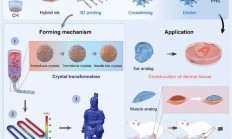 结晶相变3D打印方法实现高精度及有序微孔的生物水凝胶支架制造