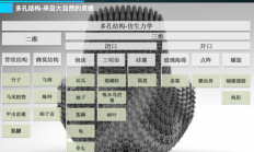 具有孔径和壁厚双梯度变量的仿生双梯度结构，兰化所研制高性能聚氨酯弹性体