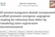 3D打印二氧化锰支架通过重塑骨再生微环境促进难治性骨缺损的成骨-血管生成耦合