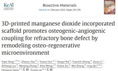 3D打印二氧化锰支架通过重塑骨再生微环境促进难治性骨缺损的成骨-血管生成耦合