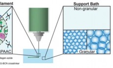 绿色又安全，3D打印胶原水凝胶：从材料设计、打印方式到应用