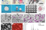 这个3D打印生物陶瓷支架既有生物活性，又有高机械强度