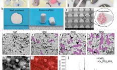 这个3D打印生物陶瓷支架既有生物活性，又有高机械强度