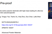 南航大用于超低温质子伪电容器的高质量负载 3D打印氧化还原活性聚合物电极